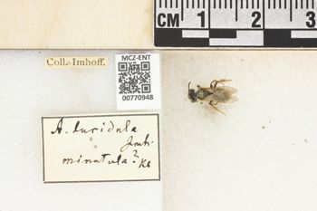 Media type: image;   Entomology 770948 Aspect: Labels